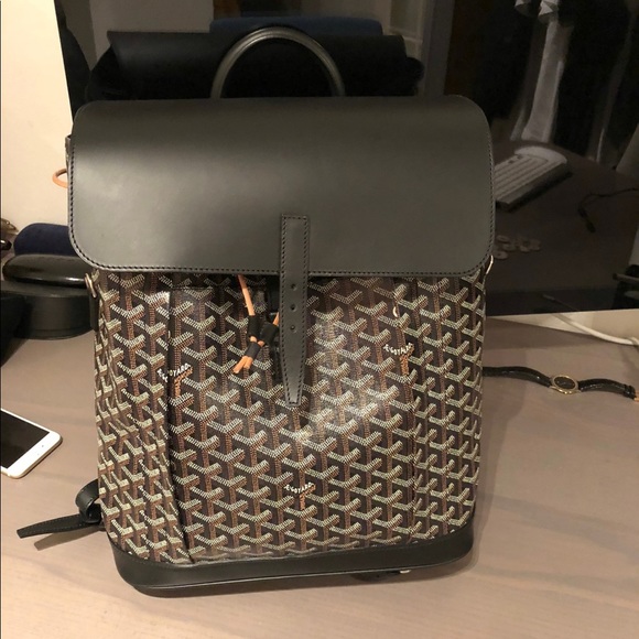 Leather backpack Goyard Grey in Leather - 31041520